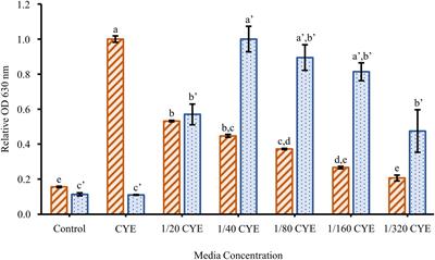 The Type 9 Secretion System Is Required for Flavobacterium johnsoniae Biofilm Formation